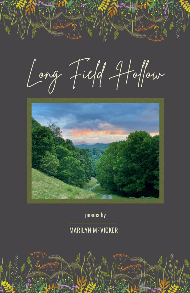 Long Field Hollow by Marilyn McVicker