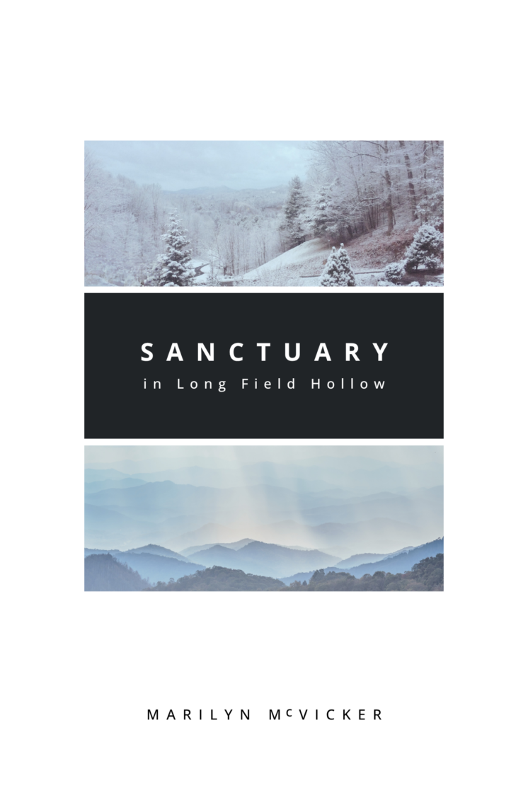 Sanctuary Front cover Sanctuary book written by Marilyn McVicker